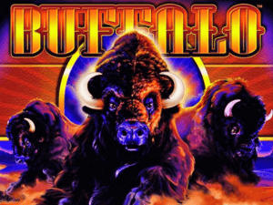 Banner of Buffalo Slot