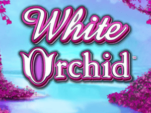 Banner of White Orchid: A Jungle Expedition