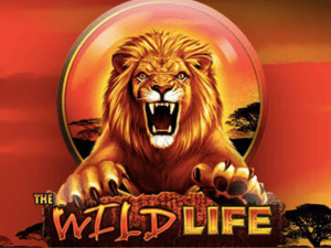 Banner of The Wild Life Slot